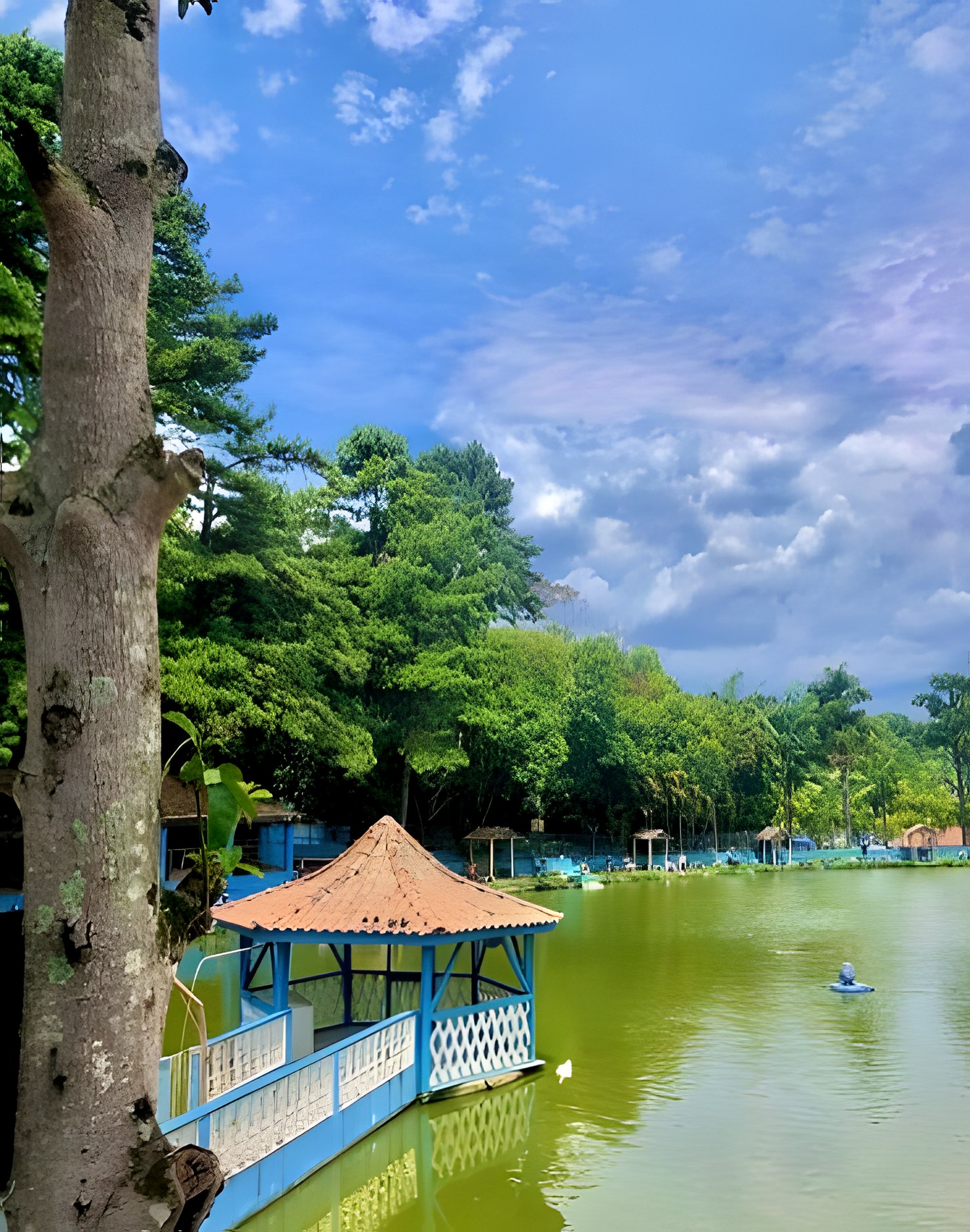Lago de Pesca